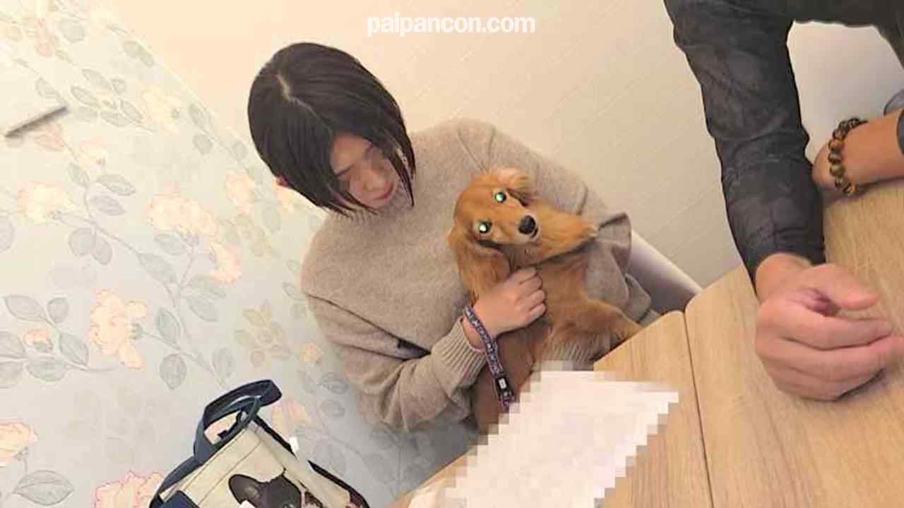 FC2-PPV-3129172 - 【個人】黒髪ショートの犬好き新妻。愛犬の散歩中に捕まえ新婚宅まで押し入りペットも気にせず中出し制裁